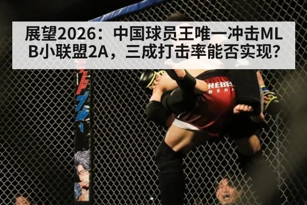 展望2026：中国球员王唯一冲击MLB小联盟2A，三成打击率能否实现？